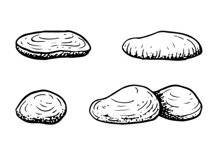 Black and white underwater sea stones setのイラスト素材