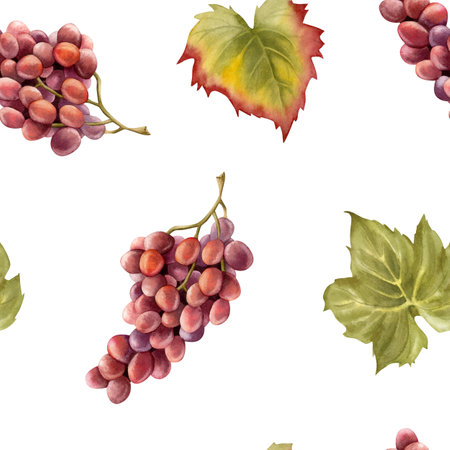 Watercolor purple black grapes bunch with green leaves seamless pattern on white. Ripe fruit branches for fall harvest and winery designs. Juicy berries repeat backgroundの写真素材