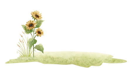 Green grass ground with sunflower flowers horizontal simple landscape. Simple rural scene watercolor illustration isolated on white. Village hand drawn clipart for farm designsの写真素材