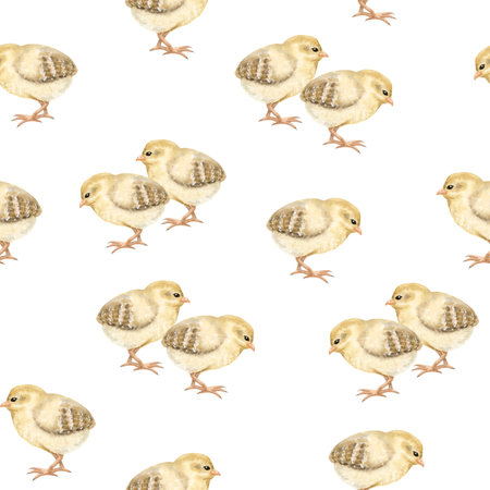 Watercolor yellow baby chicks seamless pattern on white. Easter chickens repeat background for farm birds designs. Fall domestic animals for textile, wrapping paper and kids clothesの写真素材