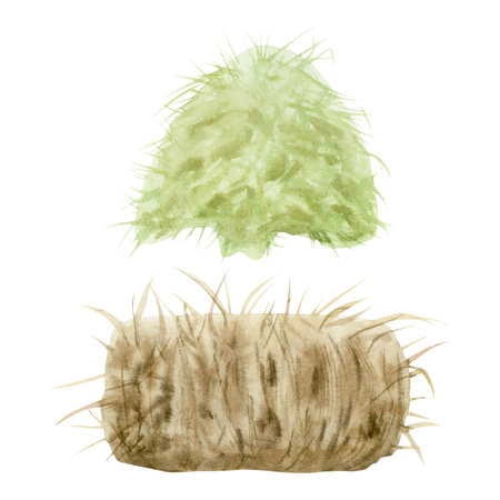 Haystack pile and grass clippings stack watercolor illustration set isolated on white. Village farm nature landscape design elements for feeding or caring for livestock animals. Agriculture clip artの写真素材