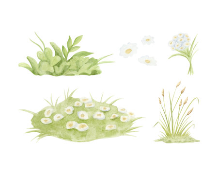 Watercolor pastel green grass and white chamomile wildflowers hand drawn illustration set. Summer blooming meadows and hills kit. Blossoming rural isolated landscape for countryside designsの写真素材