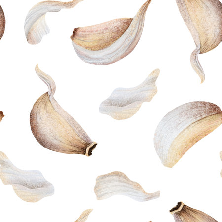Pastel garlic cloves and husks watercolor seamless pattern on white. Hand drawn organic vegetable parts with skins and peels for kitchen, spicy food and culinary designs. Italian cuisine drawingの写真素材