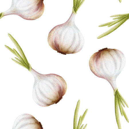 Watercolor garlic with green leaves seamless pattern on white. Hand drawn botanical vegetable repeat background in for spicy food designsの写真素材