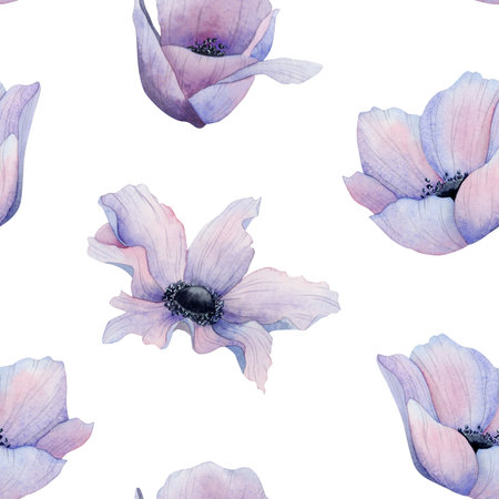 Purple field poppies flowers watercolor seamless pattern on white. Wildflowers anemones repeat...