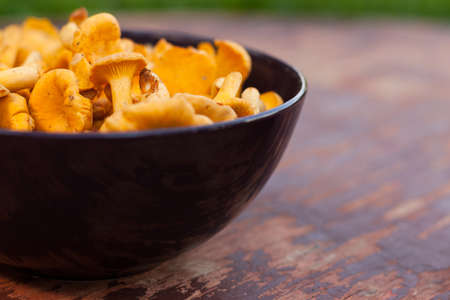 Mushroom Chanterelle. Fresh Raw Mushrooms Chanterelle In Bowl On Old Wooden Painted Table. Top View. Selectiv Focus.の写真素材