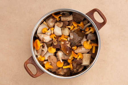 Raw Fresh Edible Mushrooms Chanterelles And Clean Cut Porcini In Large Metal Kitchen Pot Pan On Beige Brown Background Top View.の写真素材