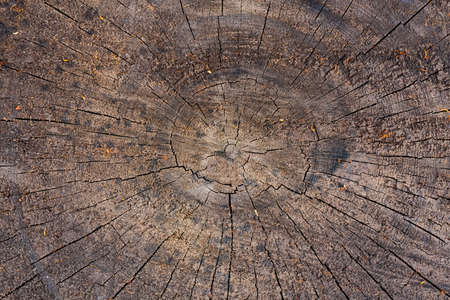 Old Wooden Wood With Cracks Texture Background Top View And Close Up.