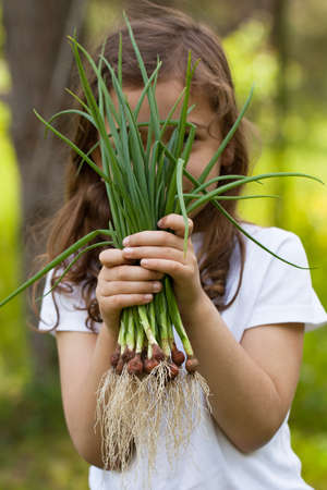Little Caucasian Child Girl Hold Fresh Green Onions Near Her Face In Summer Garden Close Up.の写真素材