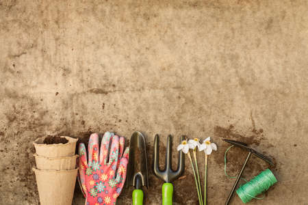 Peat Pots, Glove, Fork, Scoop, Hoe, Roll Rope And Flowers Narcissus On Old Dirt Wooden Gray Board With Copyspace Top View.の写真素材