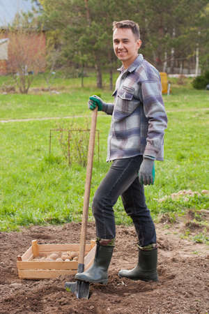 Happy Young Male With Shovel And Wooden Box With Seedling Potatoes In Spring Garden. Potato Planting...