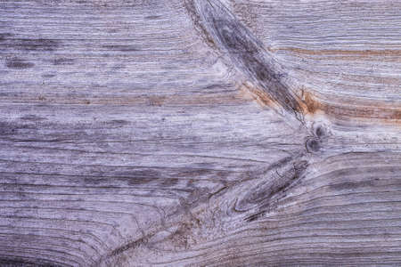Abstract Gray Background Of Wooden Old Dry Tree Top View.