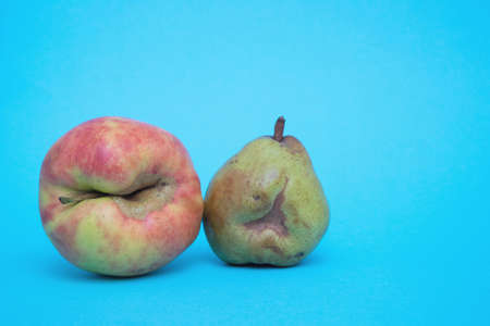 One yellow-red ugly organic fresh apple and pear on a blue background. Close up. Copy space