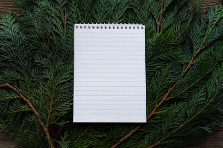 Flat lay New Year's resolution notebook lies on spruce branches. Place for textの写真素材