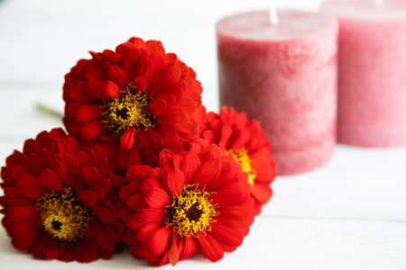 three red zinnia flowers and pink candles in the background lie on an aged white wooden table. Concept for postcards.の写真素材