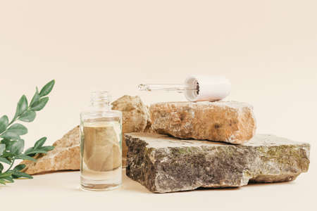 Dropper bottle with cosmetic liquid, acid or serum in nature. Natural cosmetics concept that is not tested on animalsの写真素材