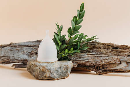 Womens health and zero waste concept. Reusable use of alternative products. Menstrual cup in a natural environment. Place for textの写真素材