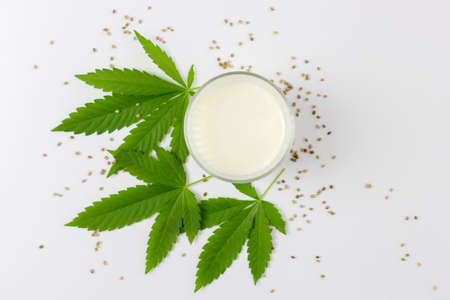 A glass of hemp plant milk from seeds on a background of green cannabis leaves. Homemade milk from plants. Place for text.の写真素材