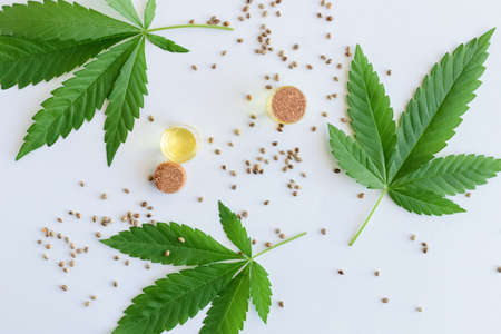 Hemp oil in glass jars, leaves and hemp seeds on a white background. Alternative medicine. Hemp oil for cooking. Herbs used to treat diseases.の写真素材