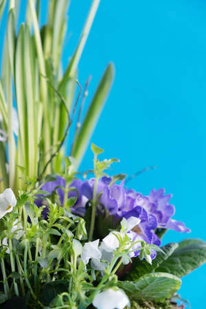 Close-up of a spring basket with blooming flowers. Gift baskets of flowers, arrangement of bouquets, floristry. Vertical orientation.の写真素材