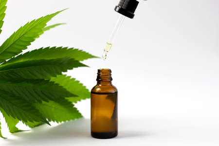 Hemp oil or hemp-based cosmetics in a bottle with a dropper. Close-up of a pipette with a drop of oil on the background of cannabis leaves and seeds.の写真素材