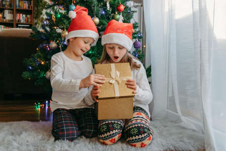 A boy and a girl in Christmas hats open a gift box under a Christmas tree. Celebration, receiving gifts, children's joy. Miracle, present.の写真素材
