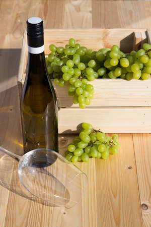A bottle of white wine next to a wooden box full of grapes. Vertical orientation. Production of...
