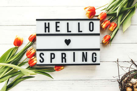 Spring layout with tulips and the inscription Hello Spring on white wooden