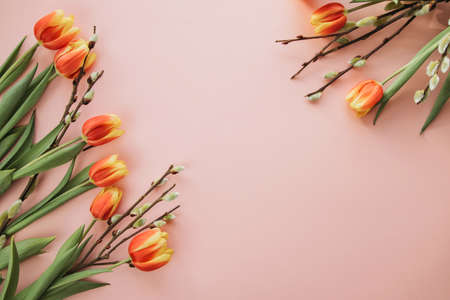Spring layout, flat lay with a bouquet of tulips and pussy willow branches on pink