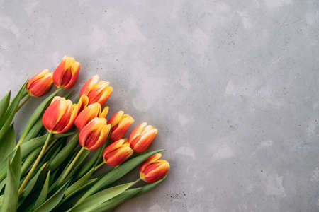 Beautiful bouquet of tulips on a gray background with copy space. Spring floral background. Ideal for congratulations on womens dayの写真素材