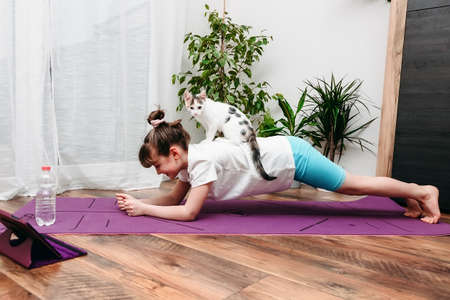 Cute caucasian girl doing gymnastics, fitness or yoga at home on a pink mat. The child stands in a plank with a cat on his back. Sports, stretching for children, online lessons and training.の写真素材