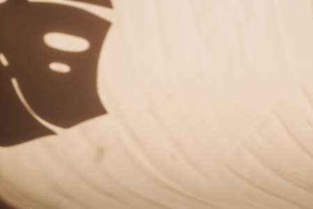 Abstract background, ready-made blank, layout for advertising goods. Beige background with shadow from monstera leaf. Copy spaceの写真素材