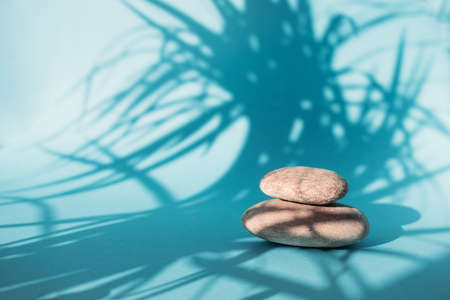 Oval stones lie on a blue background with the shadow of the leaves. Podium for displaying products
