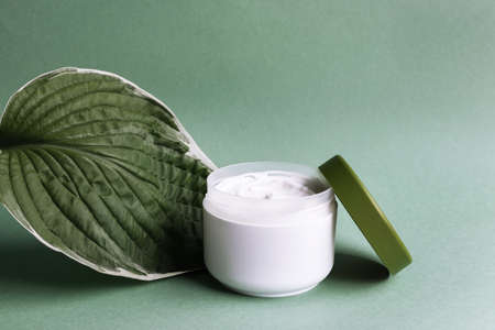 White jar of cream on a green leafの写真素材