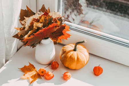 Seasonal autumn home decoration. Cozy life in hygge styleの写真素材