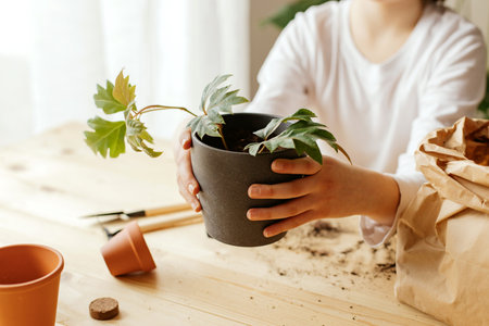 Close-up of the hands of a teenager girl who transplants a sprout of a house plant into a pot. Transplanting and caring for houseplants. Hobby for home.の写真素材