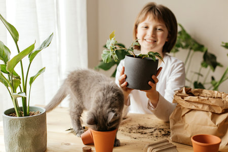 A girl with a kitten transplants home plants into a ceramic pot. Curious and funny animals. home garden concept. Hobbyの写真素材
