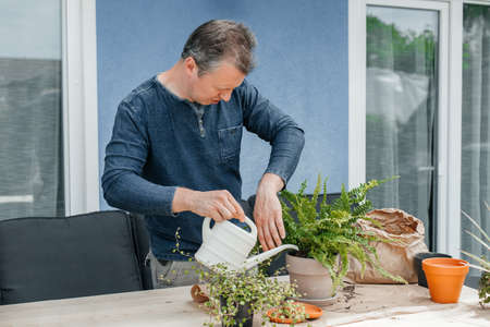 A young man transplants homemade flowers into pots. A gardener is watering a fern from a watering can on the veranda of his houseの写真素材