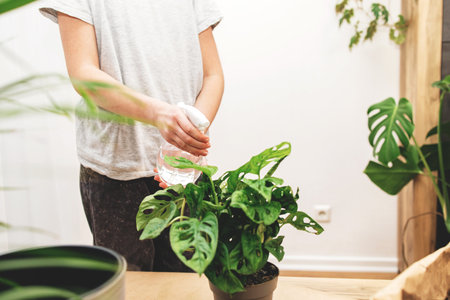 A teenage girl sprays home flowers from a spray bottle at home. House plant care. Hobby for a teenagerの写真素材