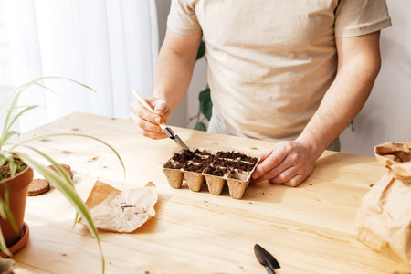 A man pours earth for planting tomato seeds in peat eco friendly forms. Preparing for planting in...