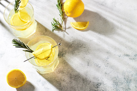 Summer refreshing drinks with fresh lemon slices and rosemary sprigs. Alcoholic cocktails with citrus fruits. cold lemon waterの写真素材