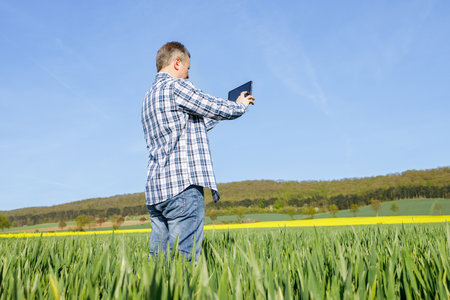 A man with a digital tablet in his hands in a rye field. The farmer inspects the crop and writes...