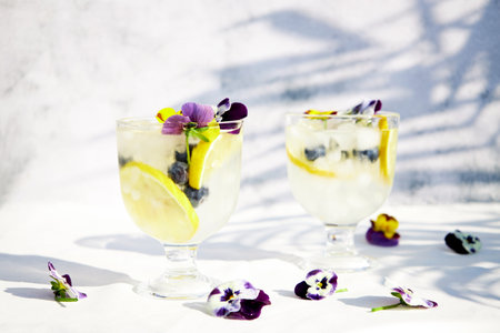 Cold lemonade with citrus and edible flowers. Cool healthy summer drinks and cocktails. Detox waterの写真素材