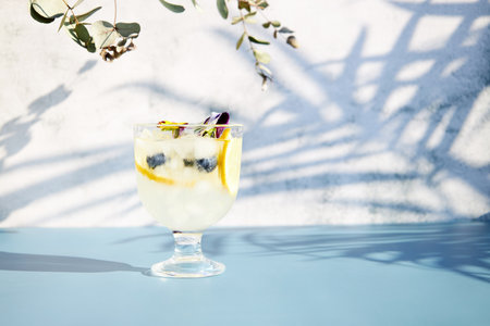Cold drink with fresh lemon slices and edible flowers. Summer chilled drinks with citrus fruits. Water with lemonの写真素材