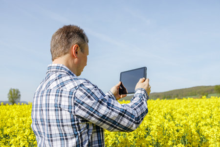 A male farmer stands in a rapeseed field with a digital tablet in his hands. The agronomist checks the condition of the crop. Modern technologies in agriculture.の写真素材