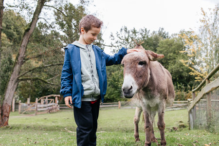 School age boy petting donkey. Children and animals interactionの写真素材