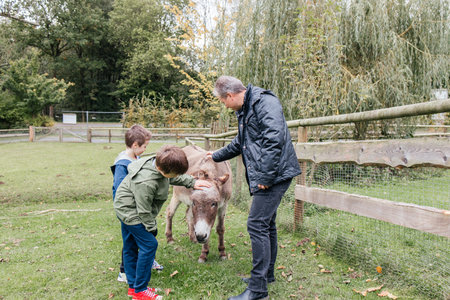 A father and his children pet a small donkey.の写真素材