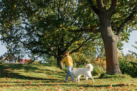 Teenage girl walking her dog, a white Swiss shepherd, outside on a sunny autumn day.の写真素材