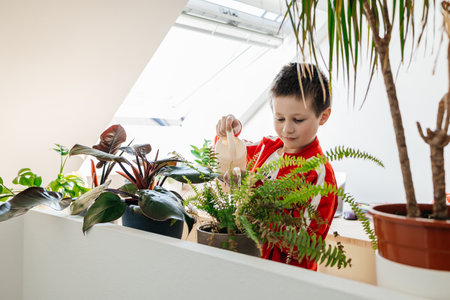 School age boy watering house flowers in flower pots from a watering canの写真素材