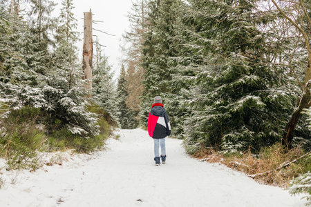 Boy walking snow path in winter forest